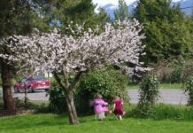 ハッピー・イースター! ~今年は17日がイースター・サンデー~ 歓声をあげてエッグハントする、子どもたち。Photo by Keiko Nishikawa