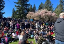 バンクーバー桜まつり「Sakura Days Japan Fair」今年は4月15、16日に開催! バンクーバー市バンデューセン植物園で開催された2022年Vancouver Cherry Blossom Festival・ジャパンフェア。