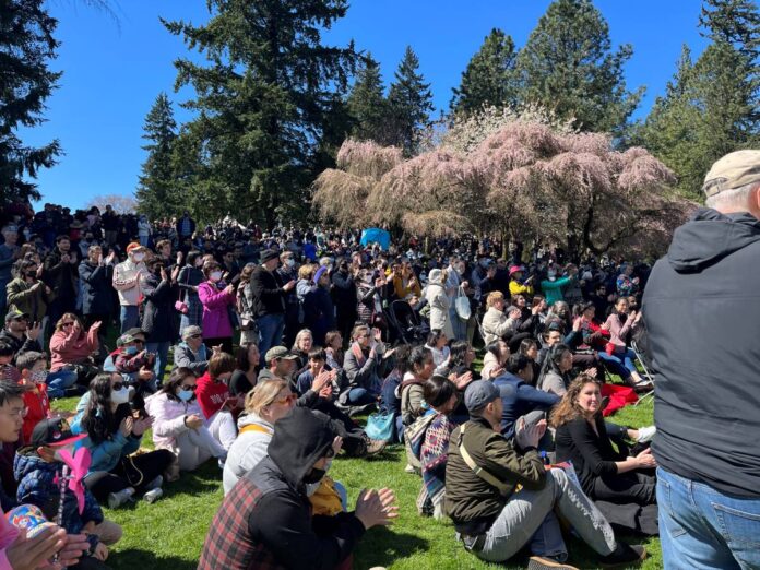 バンクーバー市バンデューセン植物園で開催された2022年Vancouver Cherry Blossom Festival・ジャパンフェア。