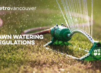 5月からの芝生の水まきは週1回に 芝生の水まき規制が5月1日から始まる。Photo from Metro Vancouver Facebook