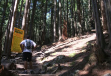 グラウスグラインド、今シーズンがオープン 森林の中にあるハイキングコース、グラウスグラインド。Photo by Vancouver Shinpo