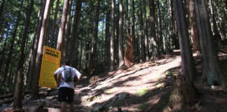 グラウスグラインド、今シーズンがオープン 森林の中にあるハイキングコース、グラウスグラインド。Photo by Vancouver Shinpo