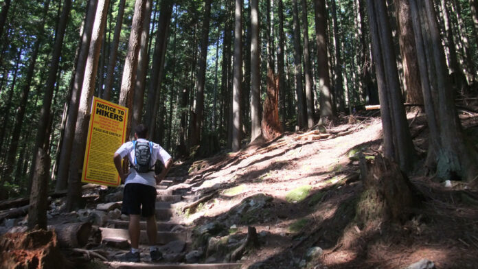 森林の中にあるハイキングコース、グラウスグラインド。Photo by Vancouver Shinpo