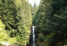 澄んだ森の空気を楽しみながら、落差30メートルの滝、ノーバンフォールズへ 落差30メートルのノーバンフォールズ。©The Vancouver Shinpo