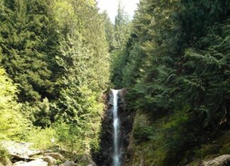 澄んだ森の空気を楽しみながら、落差30メートルの滝、ノーバンフォールズへ 落差30メートルのノーバンフォールズ。©The Vancouver Shinpo
