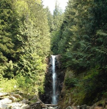 澄んだ森の空気を楽しみながら、落差30メートルの滝、ノーバンフォールズへ 落差30メートルのノーバンフォールズ。©The Vancouver Shinpo