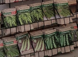 遺伝子組み換えをしていないタネを販売する、ウエストコーストシーズ