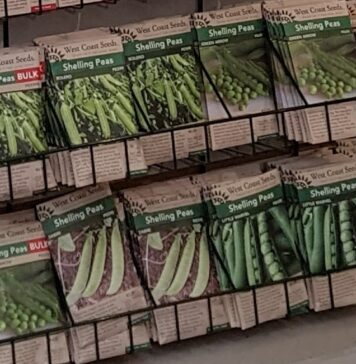 遺伝子組み換えをしていないタネを販売する、ウエストコーストシーズ