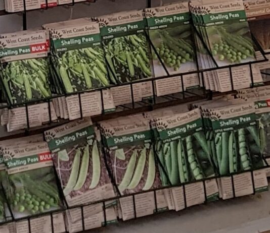 遺伝子組み換えをしていないタネを販売する、ウエストコーストシーズ