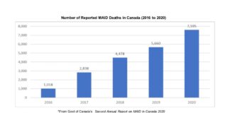 日本語認知症サポート協会オンライン講演会「人生最期の選択肢 ~カナダの『尊厳死』(MAiD)について~」 Number of Reported MAiD Deaths in Canada (2016 to 2020)