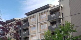 Celebrating the Past, Present and Future of Nikkei Home