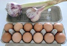 カナダの7月の物価指数、食料品が6月より上昇