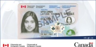 新しくなったPRカード更新、オンラインでも可能に PRカードのサンプル写真。