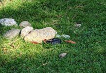 晴天続きで、家庭での水の使用量を減らすよう住民に要請