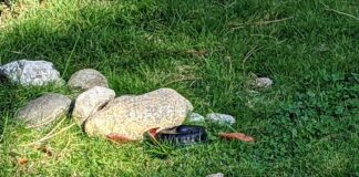 5月1日からメトロバンクーバーで散水制限始まる