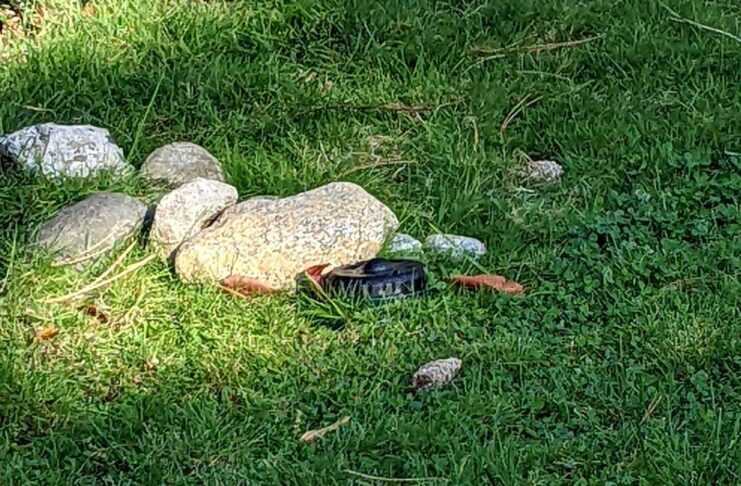 メトロバンクーバーで散水規制を継続