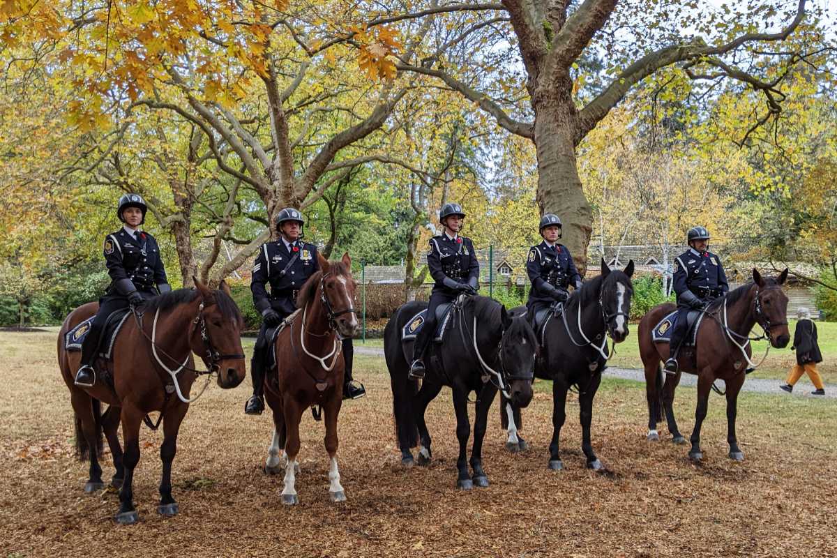 VPD Mounted Squad; November 11, 2022, Stanley Park. Photo by The Vancouver Shinpo