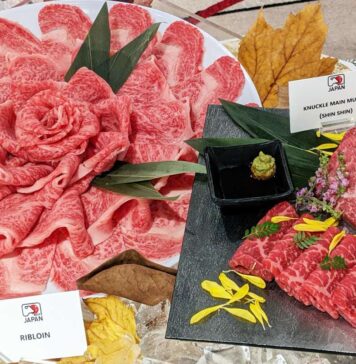 日本の和牛をカナダに!日本畜産物輸出促進協議会セミナー 会場に展示されていた和牛。2022年11月8日、バンクーバー市内ホテルで。Photo by Naomi Mishima