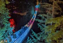 キャピラノサスペンションブリッジ、クリスマスイルミネーション“Canyon Lights”始まる Capilano Suspension Bridge Park "Canyon Lights", November 18, 2022.
