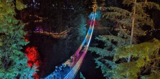キャピラノサスペンションブリッジ、クリスマスイルミネーション“Canyon Lights”始まる Capilano Suspension Bridge Park "Canyon Lights", November 18, 2022.