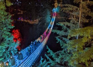キャピラノサスペンションブリッジ、クリスマスイルミネーション“Canyon Lights”始まる Capilano Suspension Bridge Park "Canyon Lights", November 18, 2022.