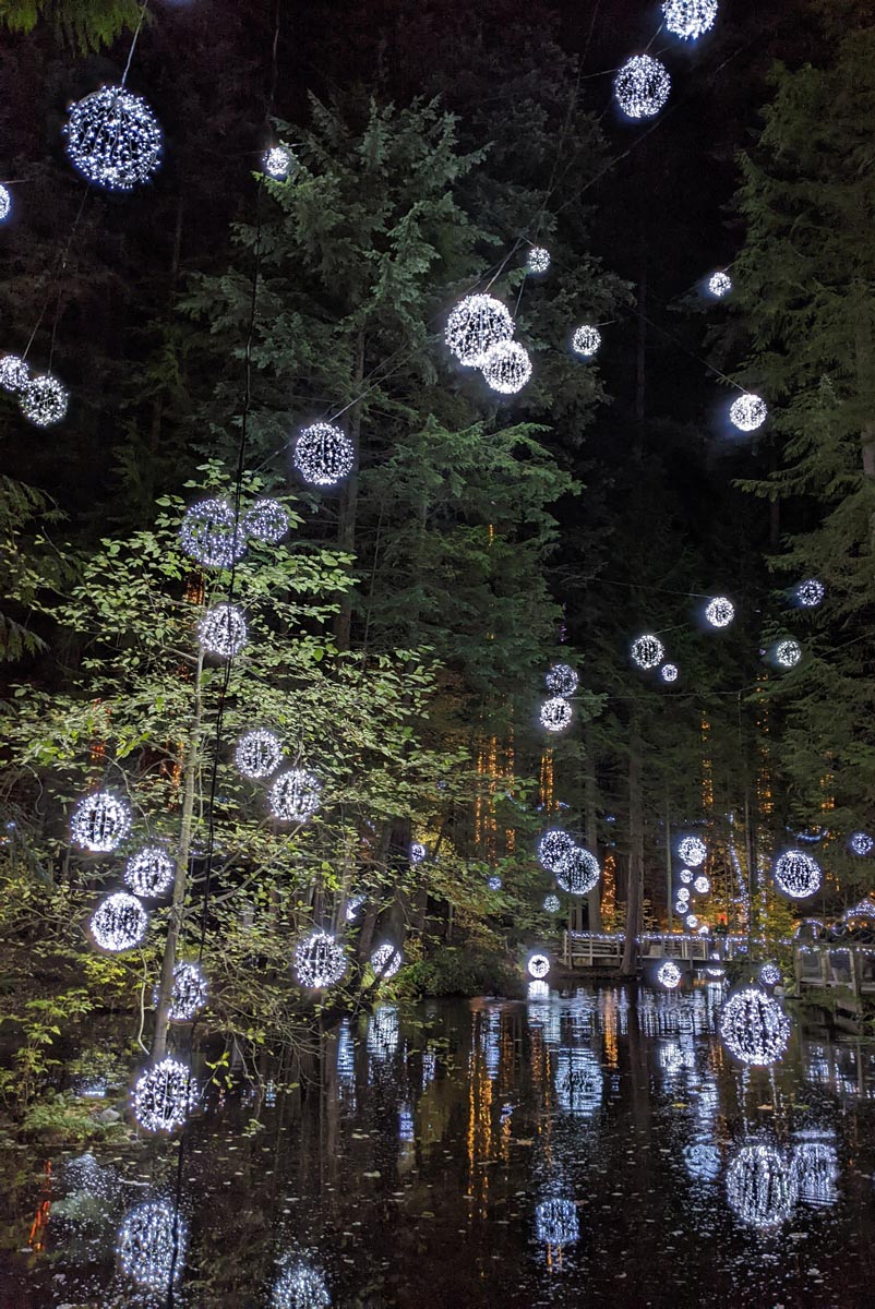 Capilano Suspension Bridge Park "Canyon Lights", November 18, 2022.