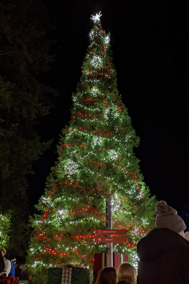 つり橋の前にある大きなクリスマスツリー。Capilano Suspension Bridge Park "Canyon Lights", November 18, 2022.