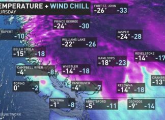 バンクーバーでも来週は雪の予報、気温も低い日が続く The Weather Network websiteより。