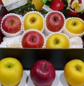 ABURI Marketで岩手県フェア開催! 2021年12月、在バンクーバー日本国総領事館羽鳥隆総領事(当時)に贈呈された岩手県産りんご。Photo by Louise Akuzawa/Vancouver Shinpo