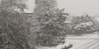 バンクーバーで大雪、今週は日中でも氷点下が続く予報 メトロバンクーバーで日中も雪が降り続いた。2022年12月18日。