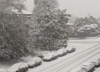 バンクーバーで25日夜から大雪になる可能性 メトロバンクーバーで日中も雪が降り続いた。2022年12月18日。