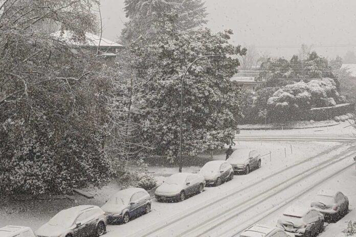 メトロバンクーバーで日中も雪が降り続いた。2022年12月18日。