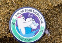 ポーラーベアスイム、2024年も元日に開催! 毎年参加者に配られる直径3cmほどの参加缶バッチ。毎年デザインが変わり、今年はシロクマが膝を抱えて水に飛び込んでいるイラスト。Photo by Koichi Saito/Japan Canada Today