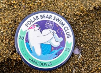 ポーラーベアスイム、2024年も元日に開催! 毎年参加者に配られる直径3cmほどの参加缶バッチ。毎年デザインが変わり、今年はシロクマが膝を抱えて水に飛び込んでいるイラスト。Photo by Koichi Saito/Japan Canada Today