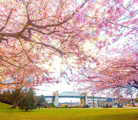 4月に開催されるバンクーバー近郊のイベント Sunset Beach, Downtown Vancouver. Photo by Koichi Saito