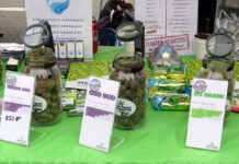 「大麻とベープ」知ることから始めよう ‐ S.U.C.C.E.S.S.リッチモンド・オンラインワークショップ 4.20Day at Sunset beach, Vancouver, April 20, 2018; Photo by ©Pacific Walkers