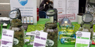 「大麻とベープ」知ることから始めよう ‐ S.U.C.C.E.S.S.リッチモンド・オンラインワークショップ 4.20Day at Sunset beach, Vancouver, April 20, 2018; Photo by ©Pacific Walkers