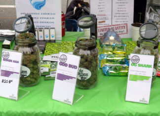 「大麻とベープ」知ることから始めよう ‐ S.U.C.C.E.S.S.リッチモンド・オンラインワークショップ 4.20Day at Sunset beach, Vancouver, April 20, 2018; Photo by ©Pacific Walkers