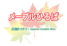 日本語能力試験N1の試験問題全て満点合格!グラッドストーン日本語学園