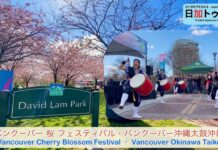 バンクーバー桜まつり開幕!ビックピクニックで沖縄太鼓が響く!