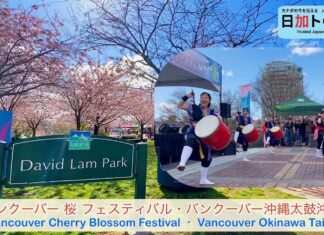 バンクーバー桜まつり開幕!ビックピクニックで沖縄太鼓が響く!
