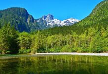 BCパークスの無料デイユースパスプログラム、今シーズンは5月6日から開始 Golden Ears Park, Photo from Parks BC website