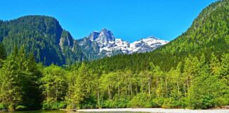 BCパークスの無料デイユースパスプログラム、今シーズンは5月6日から開始 Golden Ears Park, Photo from Parks BC website