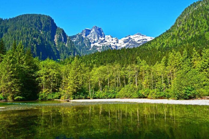 Golden Ears Park, Photo from Parks BC website