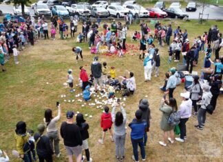 グラッドストーン日本語学園の運動会 運動会クライマックスの玉入れ。2023年6月18日、バーナビー市Ron Mclean Park。写真:グラッドストーン日本語学園