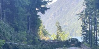 山火事で閉鎖中のバンクーバー島ハイウェイ4、完全再開は7月半ばの予定 山火事の影響で散乱するBC Highway 4の倒木。June 14, 2023, Cameron Lake Bluff; Photo from B.C. Ministry of Transportation and Infrastructure flickr