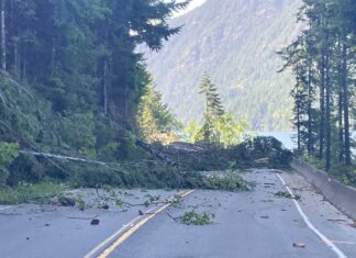 山火事で閉鎖中のバンクーバー島ハイウェイ4、完全再開は7月半ばの予定 山火事の影響で散乱するBC Highway 4の倒木。June 14, 2023, Cameron Lake Bluff; Photo from B.C. Ministry of Transportation and Infrastructure flickr