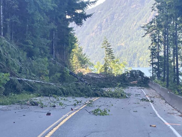 山火事の影響で散乱するBC Highway 4の倒木。June 14, 2023, Cameron Lake Bluff; Photo from B.C. Ministry of Transportation and Infrastructure flickr