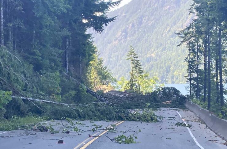 今冬の停電に備えを、BCハイドロが注意を促す 山火事の影響で散乱するBC Highway 4の倒木。June 14, 2023, Cameron Lake Bluff; Photo from B.C. Ministry of Transportation and Infrastructure flickr
