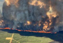 BC州の非常事態宣言、山火事と干ばつのため2週間延長に Wildfire in Donnie Creek, BC on May 28, 2023. Photo from BC Wildfire Service Twitter